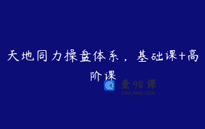 天地同力操盘体系，基础课+高阶课