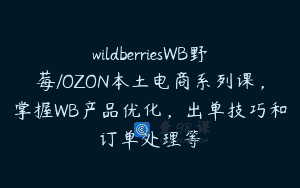 wildberriesWB野莓/OZON本土电商系列课，掌握WB产品优化，出单技巧和订单处理等