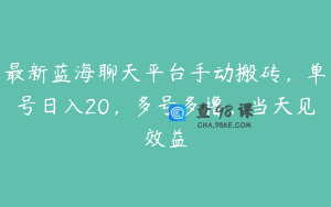 最新蓝海聊天平台手动搬砖，单号日入20，多号多撸，当天见效益