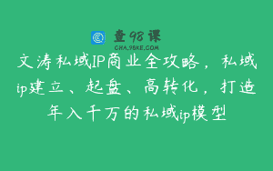 文涛私域IP商业全攻略，私域ip建立、起盘、高转化，打造年入千万的私域ip模型