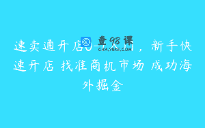 速卖通开店0-1入门，新手快速开店 找准商机市场 成功海外掘金