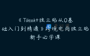 《Tiktok+独立站从0基础入门到精通》跨境电商独立站新手必学课
