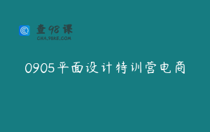 0905平面设计特训营电商