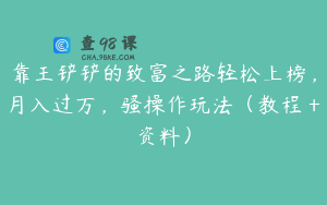 靠王铲铲的致富之路轻松上榜，月入过万，骚操作玩法（教程＋资料）