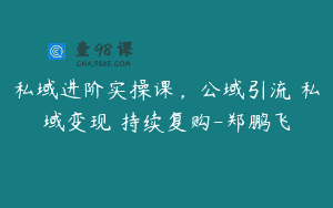 私域进阶实操课，公域引流 私域变现 持续复购-郑鹏飞
