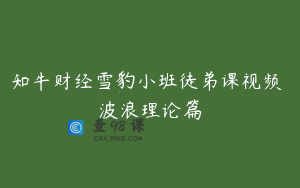 知牛财经雪豹小班徒弟课视频 波浪理论篇