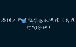 潘锴老师莱雅琴基础课程(总课时40分钟)