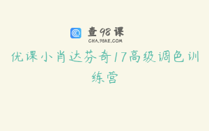 优课小肖达芬奇17高级调色训练营