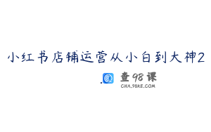 小红书店铺运营从小白到大神2.0