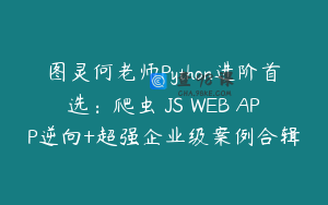 图灵何老师Python进阶首选：爬虫 JS WEB APP逆向+超强企业级案例合辑