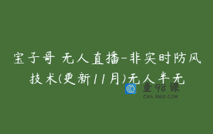 宝子哥・无人直播-非实时防风技术(更新11月)无人半无