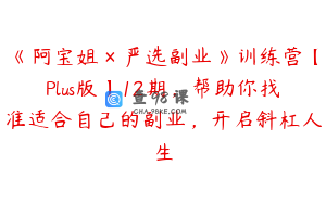 《阿宝姐×严选副业》训练营【Plus版】12期，帮助你找准适合自己的副业，开启斜杠人生