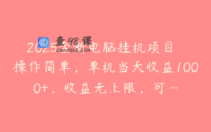 2025全新电脑挂机项目  操作简单，单机当天收益1000+，收益无上限，可…