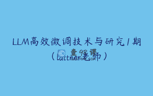 LLM高效微调技术与研究1期（lattner老师）