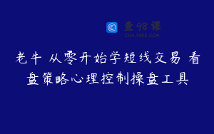 老牛 从零开始学短线交易 看盘策略心理控制操盘工具
