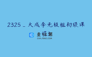 2325_大成拳无极桩初级课程3