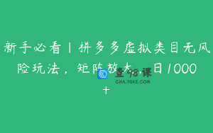 新手必看｜拼多多虚拟类目无风险玩法，矩阵放大，日1000+