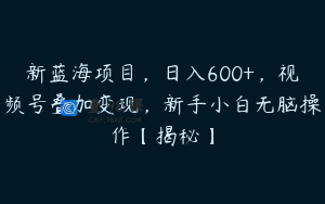 新蓝海项目，日入600+，视频号叠加变现，新手小白无脑操作【揭秘】
