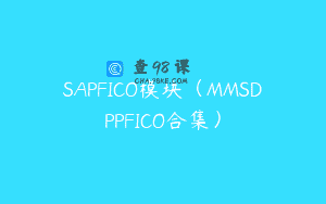 SAPFICO模块（MMSDPPFICO合集）