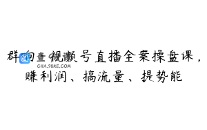 群响·视频号直播全案操盘课，赚利润、搞流量、提势能