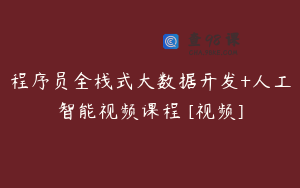 程序员全栈式大数据开发+人工智能视频课程 [视频]