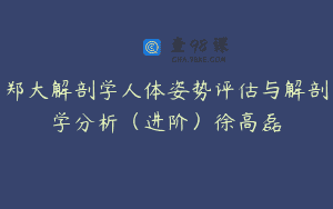 郑大解剖学人体姿势评估与解剖学分析（进阶）徐高磊