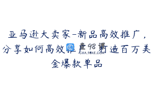 亚马逊大卖家-新品高效推广，分享如何高效推广，打造百万美金爆款单品