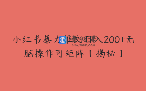 小红书暴力推文日入200+无脑操作可矩阵【揭秘】