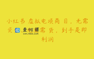小红书虚拟电项商目,无需资金、无发需货,到手是即利润