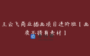 王云飞商业插画项目进阶班【画质不错有素材】