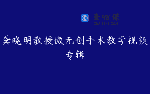 龚晓明教授微无创手术教学视频专辑