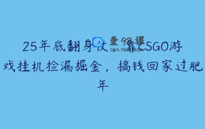 25年底翻身仗,靠CSGO游戏挂机捡漏掘金,搞钱回家过肥年