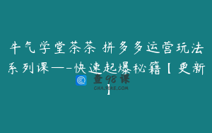 牛气学堂茶茶•拼多多运营玩法系列课—-快速起爆秘籍【更新】