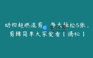 动物超燃混剪，每天轻松5张，剪辑简单大家爱看【揭秘】