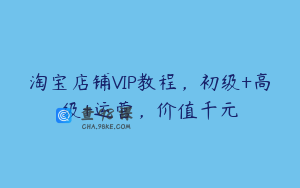 淘宝店铺VIP教程，初级+高级+运营，价值千元