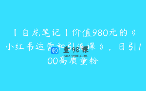 【白龙笔记】价值980元的《小红书运营和引流课》,日引100高质量粉
