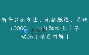 新平台新方法，无脑搬运，月赚10000+，小白轻松上手不动脑【项目拆解】
