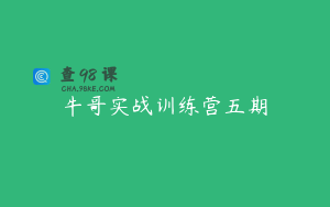 牛哥实战训练营五期