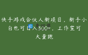 快手游戏合伙人新项目，新手小白也可日入300+，工作室可大量跑