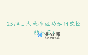 2314_大成拳桩功如何放松的秘密1