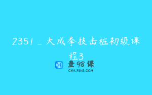 2351_大成拳技击桩初级课程3