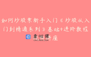 如何炒股票新手入门《炒股从入门到精通系列》基础+进阶教程视频讲座
