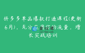拼多多单品爆款打造课程(更新6月)，充分应用你的流量，增长实战培训
