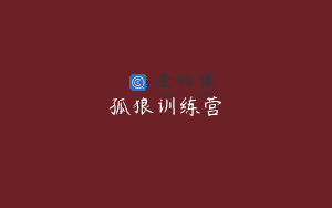 孤狼训练营