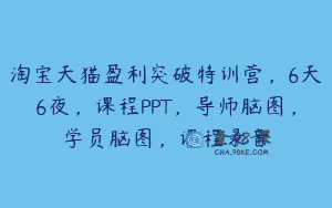 淘宝天猫盈利突破特训营，6天6夜，课程PPT，导师脑图，学员脑图，课程录音