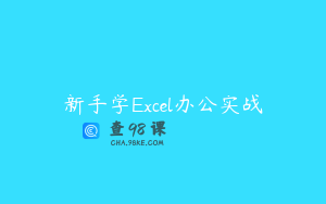 新手学Excel办公实战
