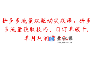 拼多多流量双驱动实战课：拼多多流量获取技巧，日订单破千,单月利润增长5w