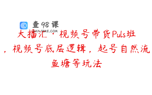 大播汇·视频号带货Puls班,视频号底层逻辑,起号自然流鱼塘等玩法