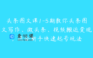 头条图文课1-5期教你头条图文写作、微头条、视频搬运变现，适合新手快速起号玩法