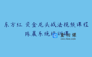 东方红 资金龙头战法视频课程 陈晨系统培训课